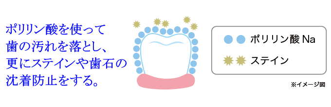 ポリリン酸を使って歯の汚れを落とし、更にステインや歯石の沈着防止をする。